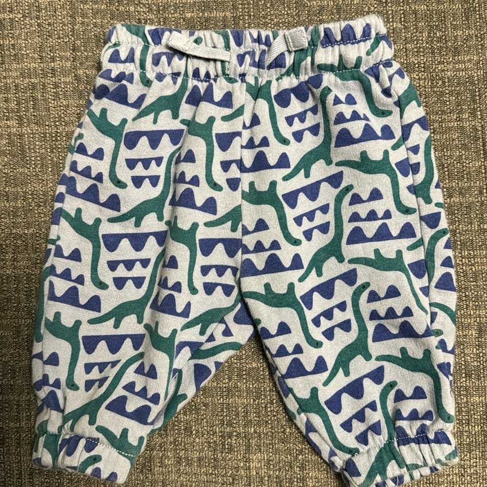 Hanna Andersson joggers